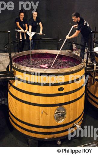 PIGEAGE CUVE DE VINIFICATION, PIGEAGE MANUEL DANS UNE CUVE EN BOIS OUVERTE CHATEAU SMITH-HAUT-LAFITTE,  GRAND CRU CLASSE,  AOC  GRAVES DE PESSAC LEOGNAN , GIRONDE. (33V48737.jpg)