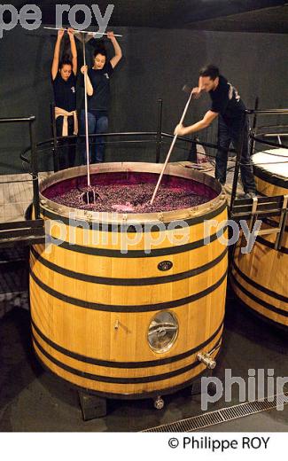 PIGEAGE CUVE DE VINIFICATION, PIGEAGE MANUEL DANS UNE CUVE EN BOIS OUVERTE CHATEAU SMITH-HAUT-LAFITTE,  GRAND CRU CLASSE,  AOC  GRAVES DE PESSAC LEOGNAN , GIRONDE. (33V48738.jpg)