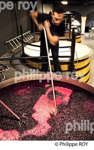 PIGEAGE CUVE DE VINIFICATION, PIGEAGE MANUEL DANS UNE CUVE EN BOIS OUVERTE CHATEAU SMITH-HAUT-LAFITTE,  GRAND CRU CLASSE,  AOC  GRAVES DE PESSAC LEOGNAN , GIRONDE. (33V48739.jpg)