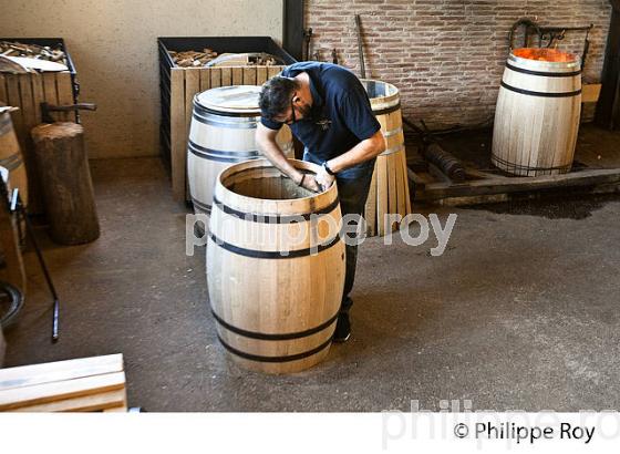 LA TONNELLERIE DU CHATEAU SMITH-HAUT-LAFITTE,  GRAND CRU CLASSE,  AOC  GRAVES DE PESSAC LEOGNAN , GIRONDE. (33V48806.jpg)