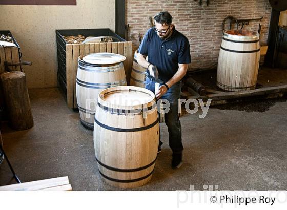 LA TONNELLERIE DU CHATEAU SMITH-HAUT-LAFITTE,  GRAND CRU CLASSE,  AOC  GRAVES DE PESSAC LEOGNAN , GIRONDE. (33V48807.jpg)