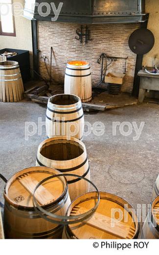 LA TONNELLERIE DU CHATEAU SMITH-HAUT-LAFITTE,  GRAND CRU CLASSE,  AOC  GRAVES DE PESSAC LEOGNAN , GIRONDE. (33V48810.jpg)