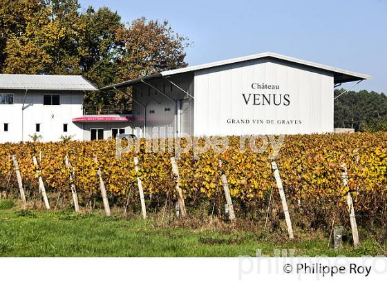 LE CHATEAU VENUS,  AOC  VINS DE GRAVES , GIRONDE. (33V48813.jpg)
