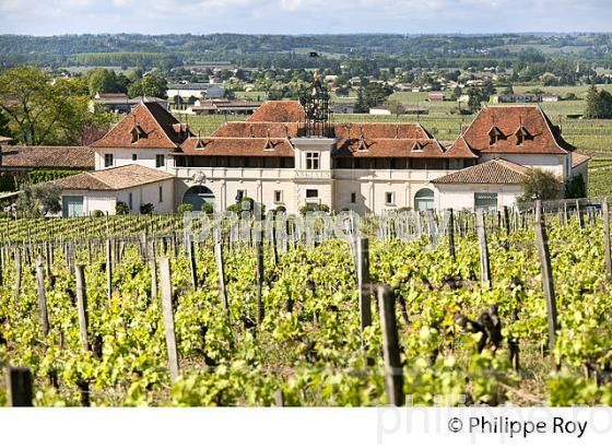 CHATEAU ANGELUS, 1ER GRAND CRU CLASSE A , AOC SAINT EMILION, VIGNOBLE DE BORDEAUX. (33V48832.jpg)