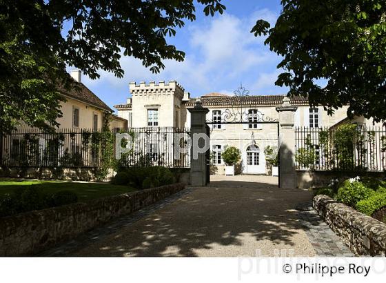 CHATEAU CANON, 1ER GRAND CRU CLASSE  , AOC SAINT EMILION, VIGNOBLE DE BORDEAUX. (33V48920.jpg)