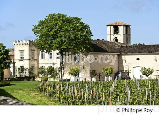 CHATEAU CANON, 1ER GRAND CRU CLASSE  , AOC SAINT EMILION, VIGNOBLE DE BORDEAUX. (33V48922.jpg)