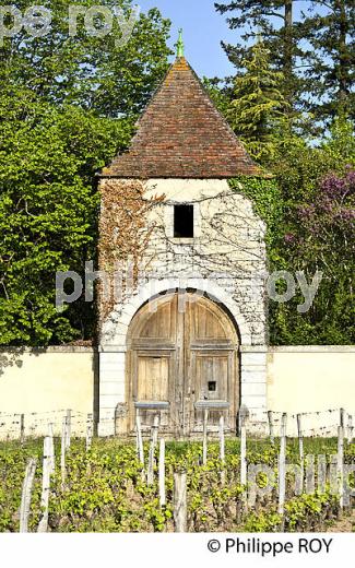 CHATEAU CANON LA GAFFELIERE, 1ER GRAND CRU CLASSE  , AOC SAINT EMILION, VIGNOBLE DE BORDEAUX. (33V48928.jpg)