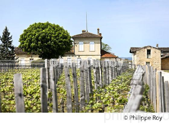 CHATEAU CAPDEMOURLIN, GRAND CRU CLASSE, AOC , SAINT EMILION, VIGNOBLE DE BORDEAUX. (33V48931.jpg)