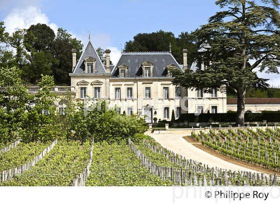CHATEAU FONPLEGADE, GRAND CRU CLASSE, AOC , SAINT EMILION, VIGNOBLE DE BORDEAUX. (33V48933.jpg)