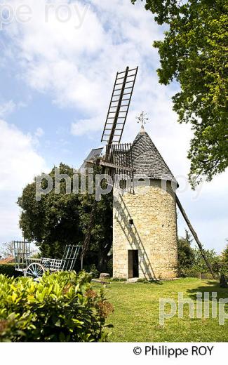 MOULIN DU CHATEAU HAUT-SARPE, GRAND CRU CLASSE, AOC , SAINT EMILION, VIGNOBLE DE BORDEAUX. (33V48939.jpg)