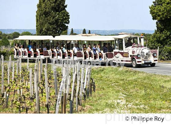 LE PETIT TRAIN TOURISTIQUE, ET VIGNE DE SAINT EMILION, VIGNOBLE DE BORDEAUX. (33V49024.jpg)