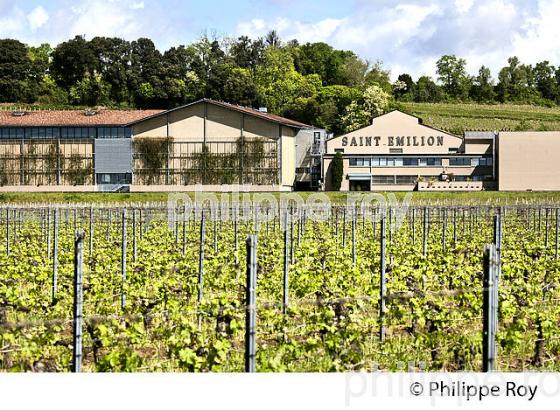 L' UNION DES PRODUCTEURS DE   SAINT EMILION,  AOC SAINT EMILION, VIGNOBLE DE BORDEAUX. (33V49027.jpg)