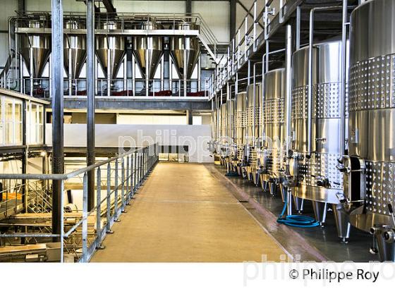 CUVIER DE VINIFICATION, L' UNION DES PRODUCTEURS DE   SAINT EMILION,  AOC SAINT EMILION, VIGNOBLE DE BORDEAUX. (33V49102.jpg)