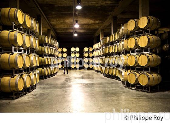 CHAI BARRIQUES,  UNION DES PRODUCTEURS DE   SAINT EMILION,  AOC SAINT EMILION, VIGNOBLE DE BORDEAUX. (33V49103.jpg)