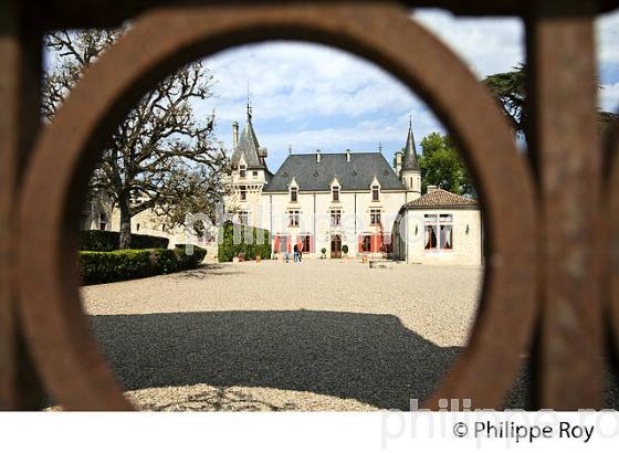 CHATEAU PRESSAC,  GRAND CRU CLASSE, AOC SAINT EMILION, VIGNOBLE DE BORDEAUX. (33V49124.jpg)