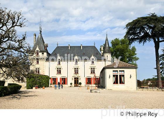 CHATEAU PRESSAC,  GRAND CRU CLASSE, AOC SAINT EMILION, VIGNOBLE DE BORDEAUX. (33V49125.jpg)
