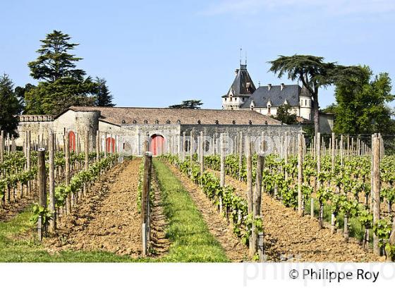 CHATEAU PRESSAC,  GRAND CRU CLASSE, AOC SAINT EMILION, VIGNOBLE DE BORDEAUX. (33V49127.jpg)