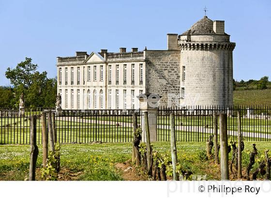CHATEAU LAROQUE,  GRAND CRU CLASSE, AOC SAINT EMILION, VIGNOBLE DE BORDEAUX. (33V49128.jpg)