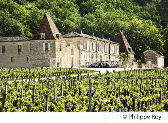 VIGNE ET CHATEAU LASSEGUE,   AOC SAINT-EMILION, VIGNOBLE DE BORDEAUX. (33V49204.jpg)