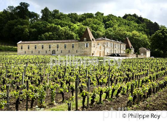 VIGNE ET CHATEAU LASSEGUE,   AOC SAINT-EMILION, VIGNOBLE DE BORDEAUX. (33V49205.jpg)