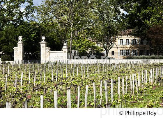 VIGNE ET CHATEAU MONLOT,   AOC SAINT-EMILION, VIGNOBLE DE BORDEAUX. (33V49206.jpg)