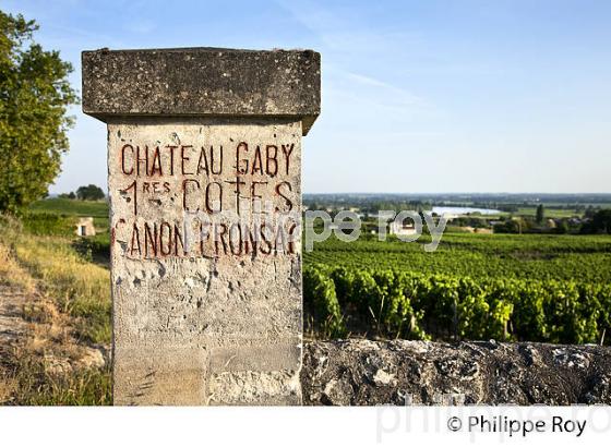 ENCLOS DU CHATEAU GABY, AOC CANON FRONSAC ET LA DORDOGNE, VIGNOBLE DE BORDEAUX, FRONSAC, GIRONDE. (33V49428.jpg)