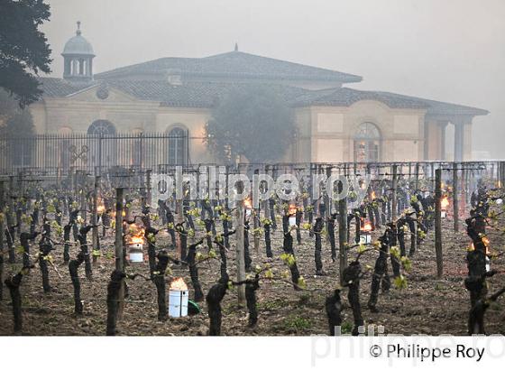 LUTTE CONTRE LE GEL DE PRINTEMPS DANS LA VIGNE, VIGNOBLE DE BORDEAUX, GIRONDE. (33V49729.jpg)