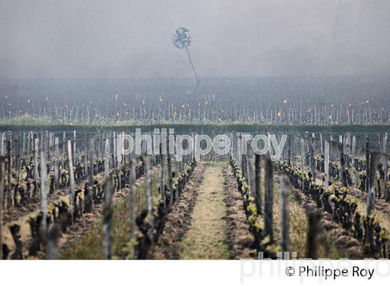 LUTTE CONTRE LE GEL DE PRINTEMPS DANS LA VIGNE, VIGNOBLE DE BORDEAUX, GIRONDE. (33V49732.jpg)