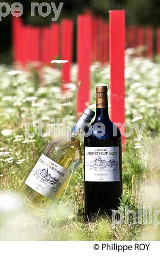 LE JARDIN D' IVRESSE, ET BOUTEILLE DU  CHATEAU LARRIVET HAUT-BRION, VINS DE PESSAC-LEOGNAN, GIRONDE. (33V49815.jpg)