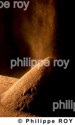 PULPE DE RAISIN DESHYDRATEE, NOURRITURE POUR BETAIL (33v02225.jpg)