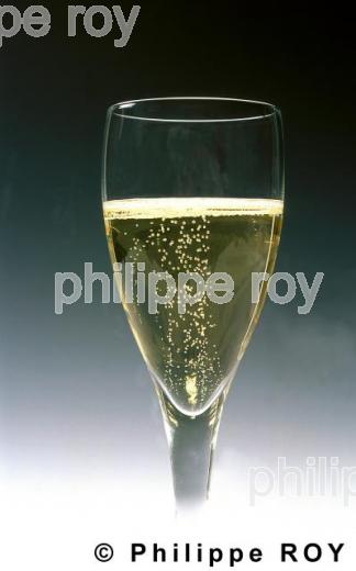 Champagne (33v02330.jpg)