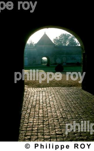 Chteau viticole (33v04208.jpg)