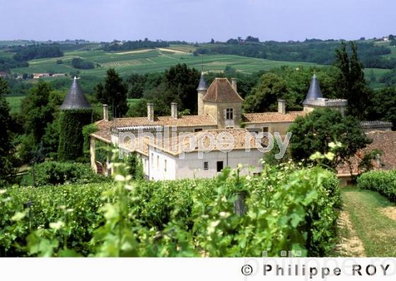 Le vignoble Bordelais (33v04221.jpg)