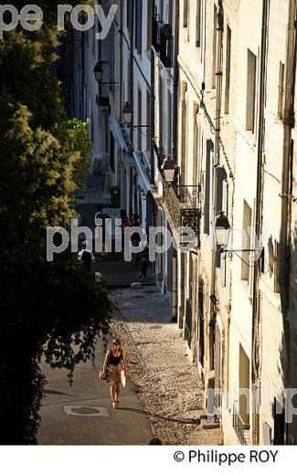 RUELLE , QUARTIER FACULTE, VIEUX MONTPELLIER, LANGUEDOC-ROUSSILLON. (34F00105.jpg)