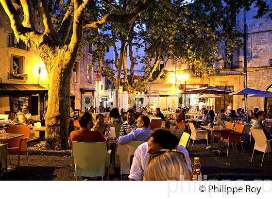 TERRASE CAFE , QUARTIER FACULTE, VIEUX MONTPELLIER, LANGUEDOC-ROUSSILLON. (34F00110.jpg)