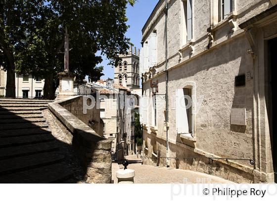 RUELLE , QUARTIER FACULTE, VIEUX MONTPELLIER, LANGUEDOC-ROUSSILLON. (34F00111.jpg)