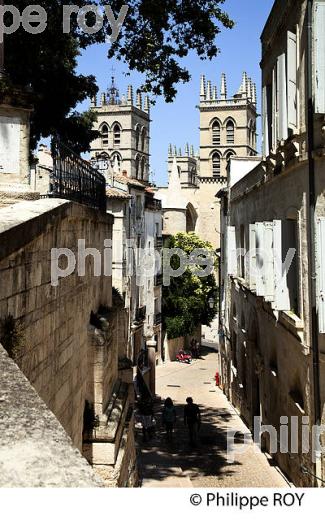 RUELLE ET CATHEDRALE , VIEUX MONTPELLIER, LANGUEDOC-ROUSSILLON. (34F00114.jpg)