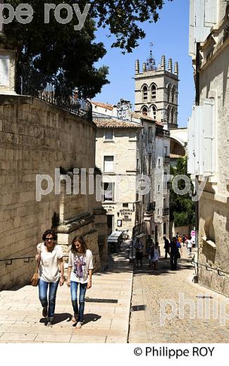 RUELLE ET CATHEDRALE , VIEUX MONTPELLIER, LANGUEDOC-ROUSSILLON. (34F00115.jpg)