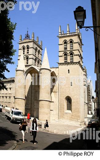 CATHEDRALE, VIEUX MONTPELLIER, LANGUEDOC-ROUSSILLON. (34F00119.jpg)