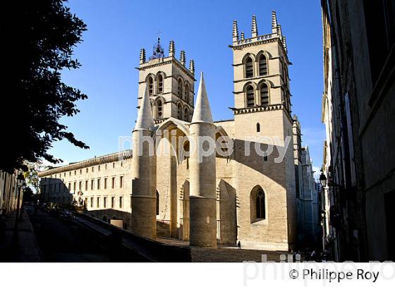 CATHEDRALE, VIEUX MONTPELLIER, LANGUEDOC-ROUSSILLON. (34F00124.jpg)