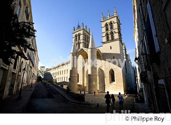 CATHEDRALE, VIEUX MONTPELLIER, LANGUEDOC-ROUSSILLON. (34F00125.jpg)