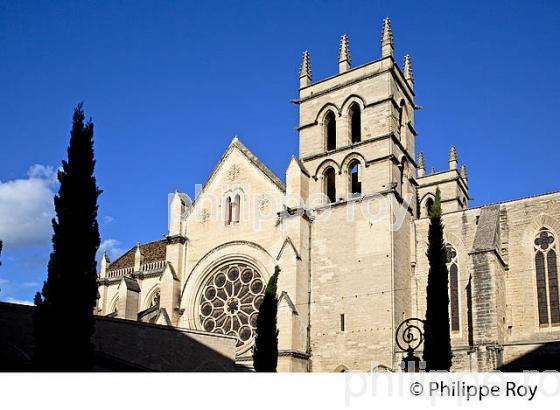 CATHEDRALE, VIEUX MONTPELLIER, LANGUEDOC-ROUSSILLON. (34F00126.jpg)