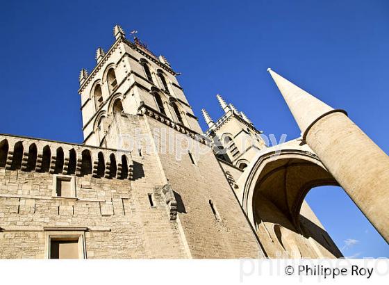 CATHEDRALE, VIEUX MONTPELLIER, LANGUEDOC-ROUSSILLON. (34F00128.jpg)