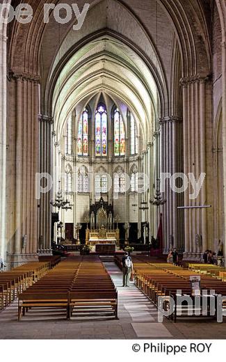 CATHEDRALE, VIEUX MONTPELLIER, LANGUEDOC-ROUSSILLON. (34F00133.jpg)