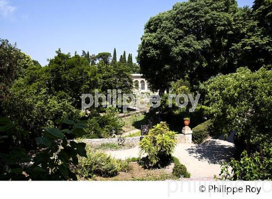 JARDIN BOTANIQUE, VIEUX MONTPELLIER, LANGUEDOC-ROUSSILLON. (34F00210.jpg)