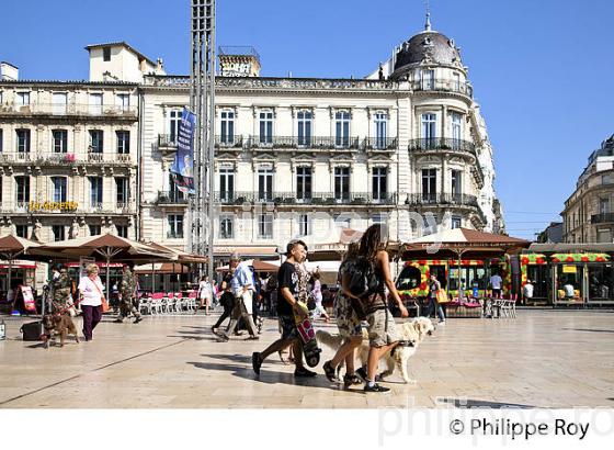 PLACE DE LA COMEDIE, VIEUX MONTPELLIER, LANGUEDOC-ROUSSILLON. (34F00314.jpg)
