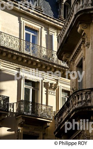 , VIEUX MONTPELLIER, LANGUEDOC-ROUSSILLON. (34F00406.jpg)