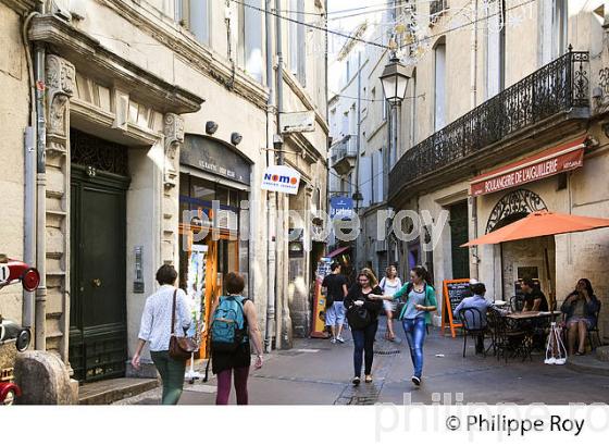 QUARTIER SAINT MATHIEU, VIEUX MONTPELLIER, LANGUEDOC-ROUSSILLON. (34F00518.jpg)