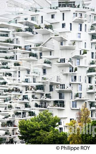 IMMEUBLE  DE L' ARBRE BLANC, PORT MARIANNE,  MONTPELLIER, HERAULT, LANGUEDOC. (34F00919.jpg)