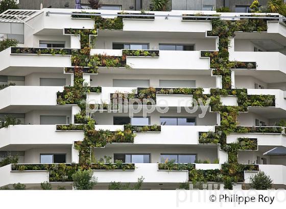 IMMEUBLE  RESIDENTIEL, QUARTIER HOTEL DE VILLE,  MONTPELLIER, HERAULT, LANGUEDOC. (34F00929.jpg)